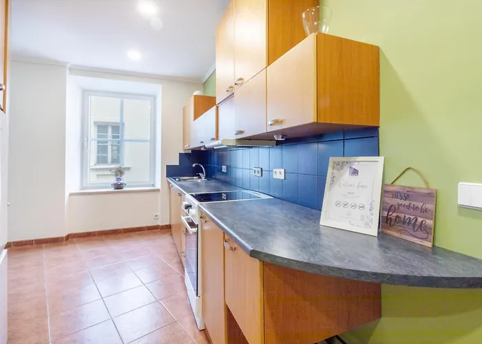 Апартаменты Classic In The Prestigious Stikliu Str By Reside Baltic Вильнюс